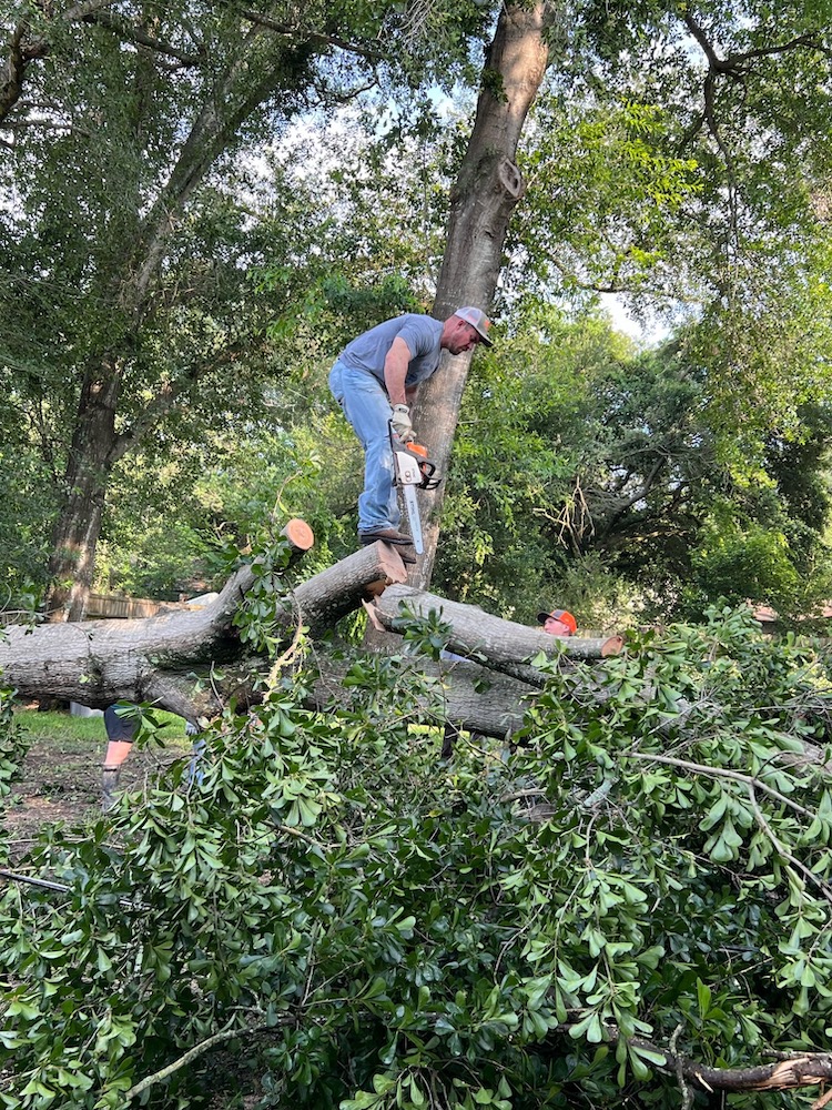 Garrett Jeter removes limbs from a fallen tree in a neighbor's yard.